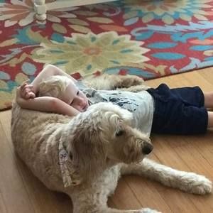 Meet your Posher, Ben